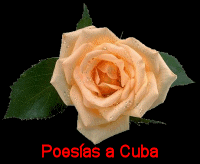Poesías a Cuba
